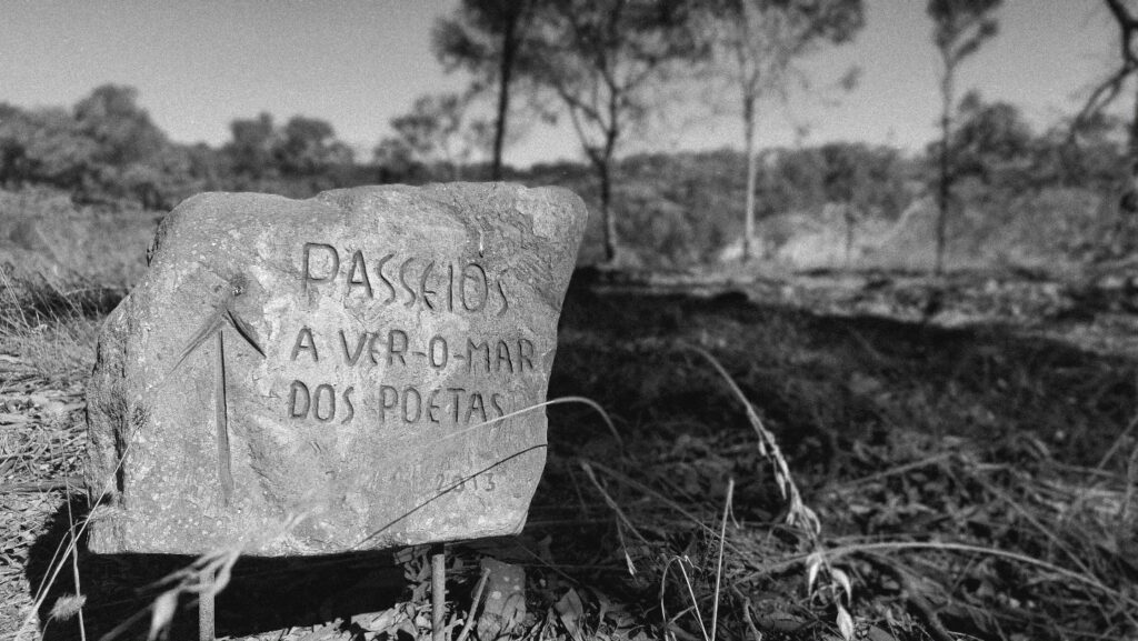 West Algarve fire - Foto Sónia Silva (10)