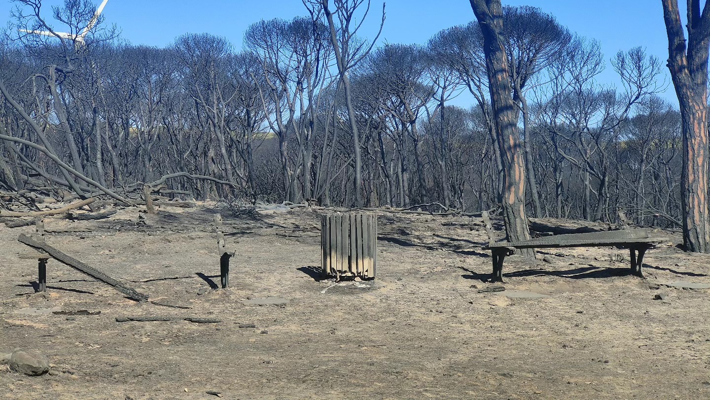 West Algarve fire - Foto Sónia Silva (11)