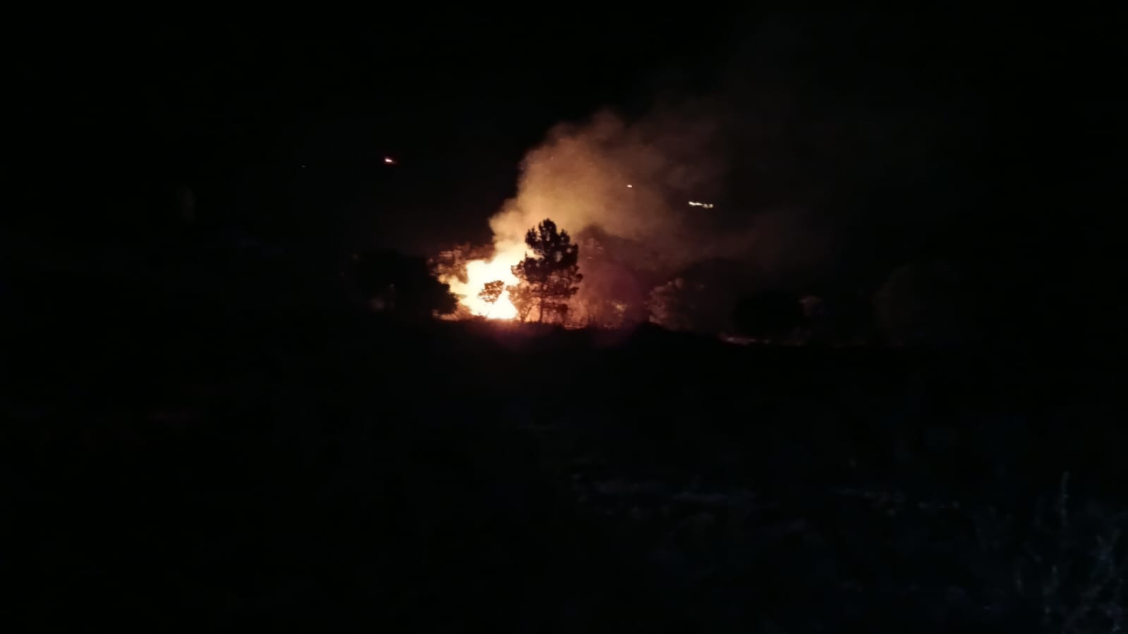 WhatsApp Image 2025-09-22 at 05.41.07_092f160a