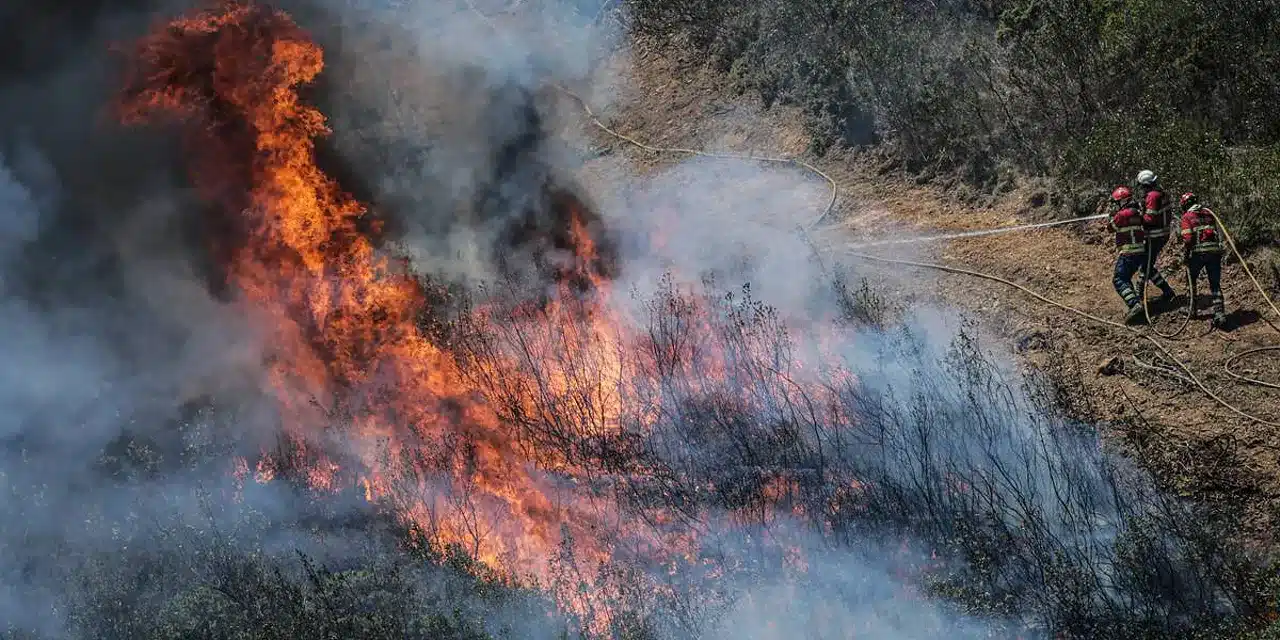 Algarve wildfire 70% dominated: next few hours critical