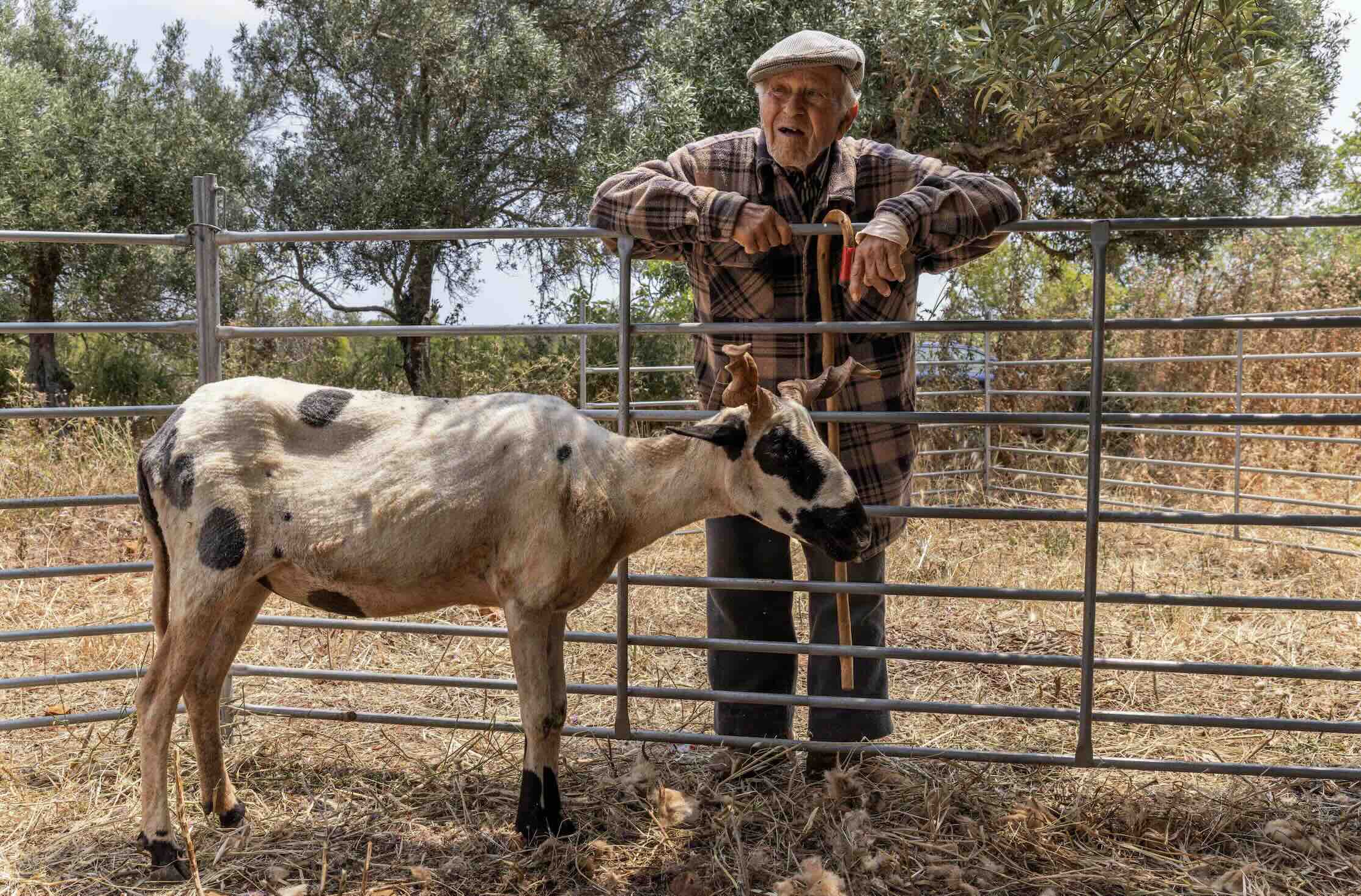 “Aligned by the Same Wool” brings together the work of seven textile artists to highlight the rare regional breed as a valuable resource.