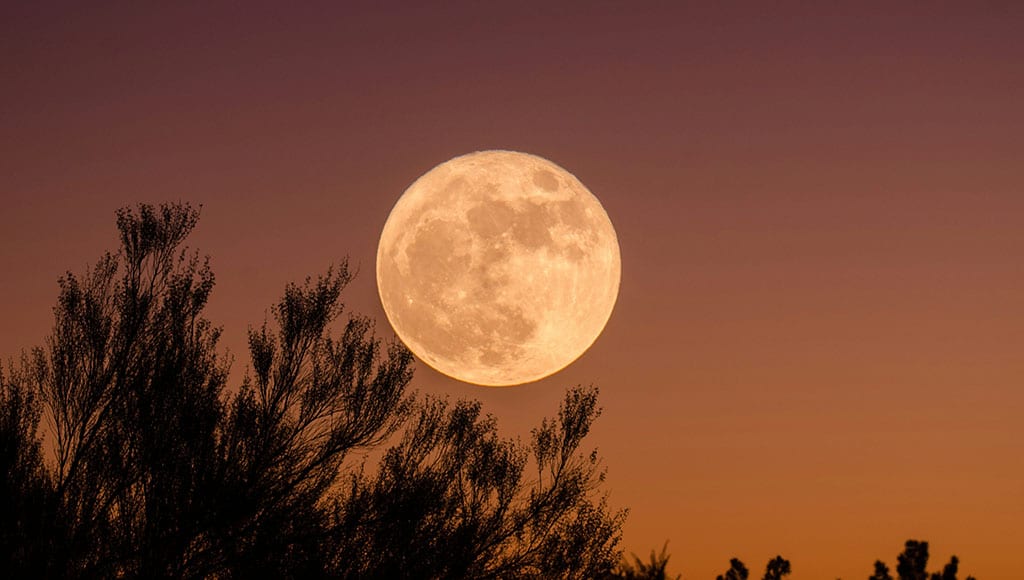 Full moon in Algarve November 2025 Night Sky