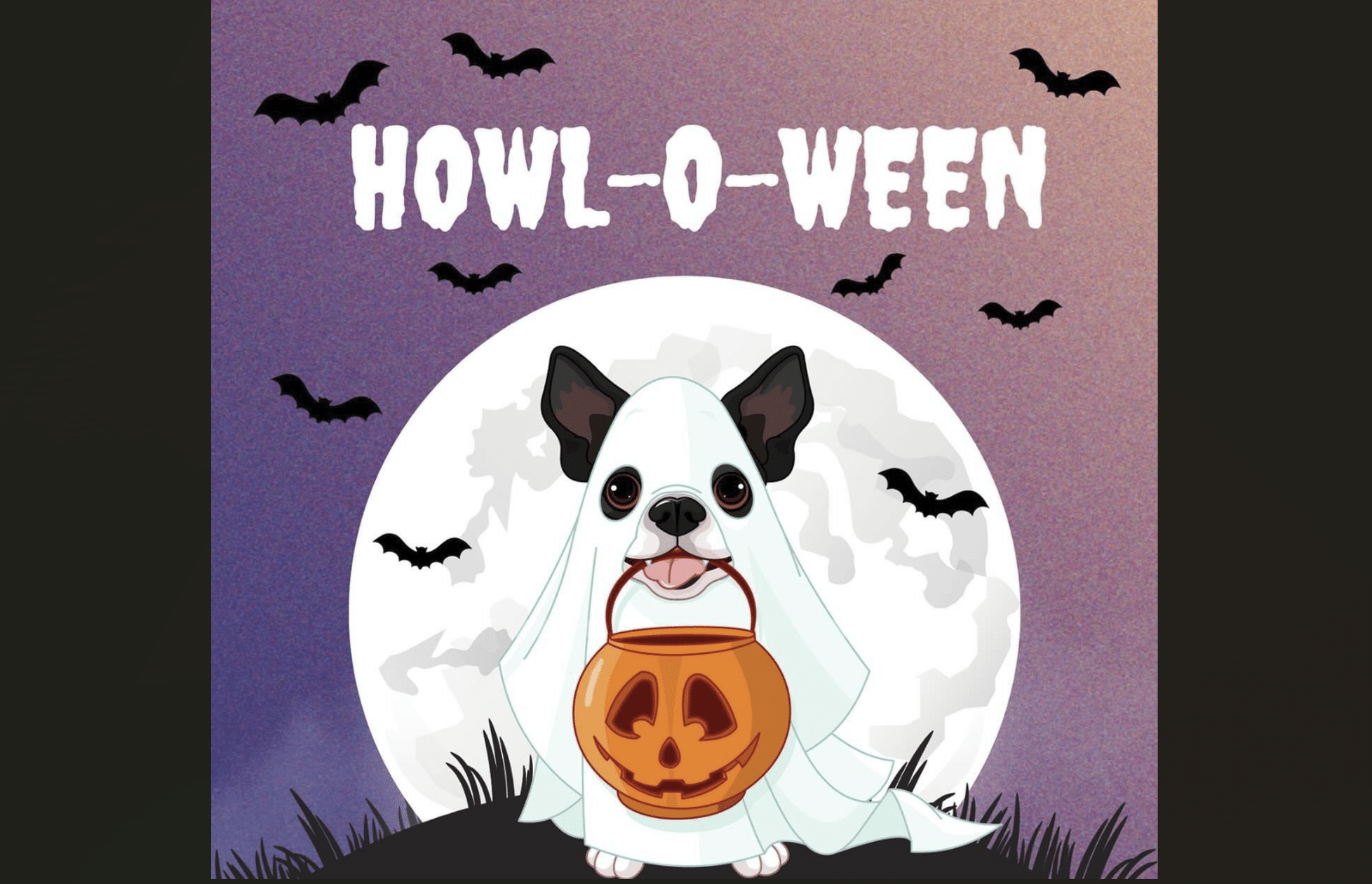 Halloween Cadela Carlota