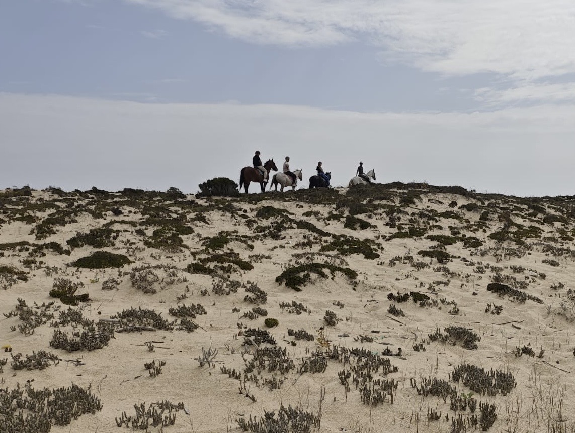 Horseback rides threaten Alentejo coast dunes - NGO