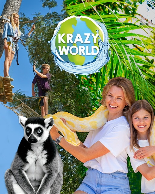 Krazy World
