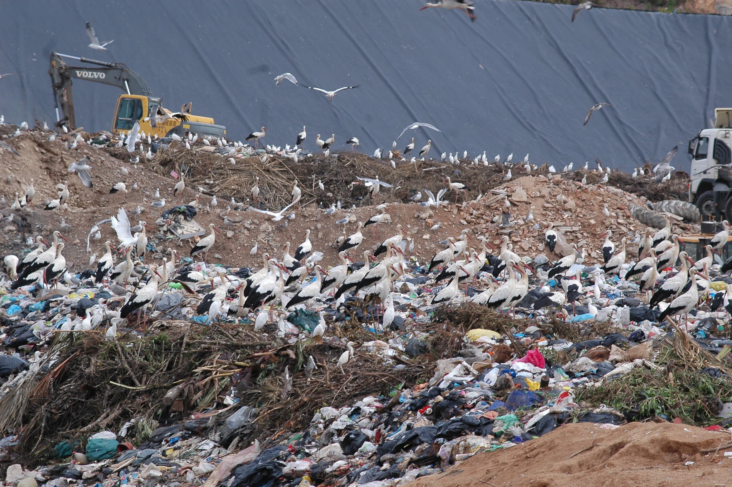 Residents fight Portimão landfill expansion