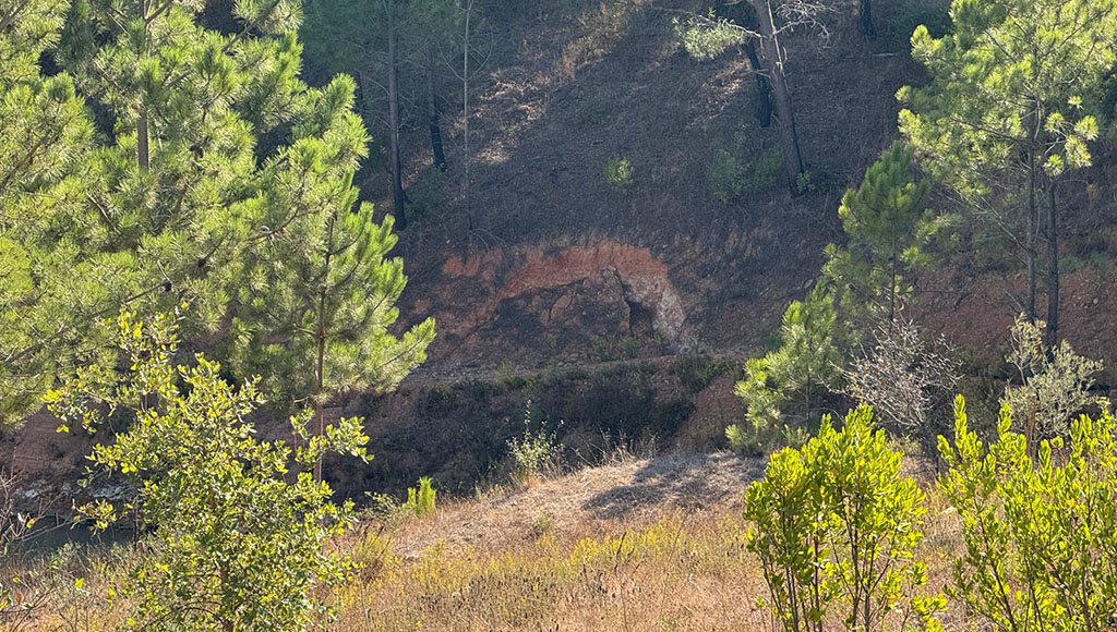 Lynx land: finding feline form in the clay