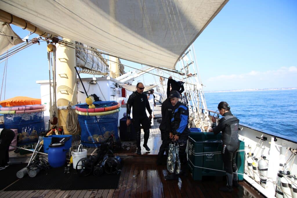 Parque Natural Marinho do Recife do Algarve – Pedra do Valado - Foto BFP (49)