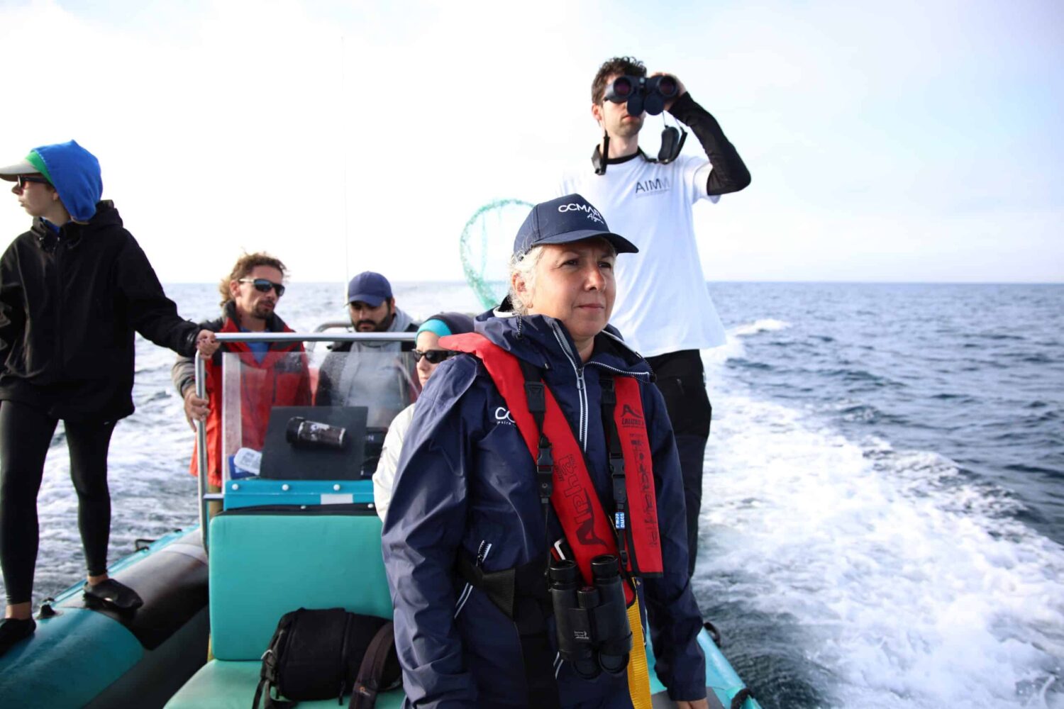 Parque Natural Marinho do Recife do Algarve – Pedra do Valado - Foto BFP (5)