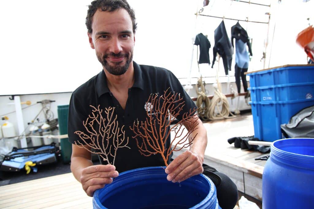 Parque Natural Marinho do Recife do Algarve – Pedra do Valado - Foto BFP (67)