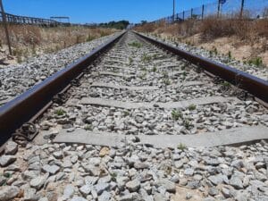 Rail link to Spain and A22 extension among CCDR Algarve president’s goals