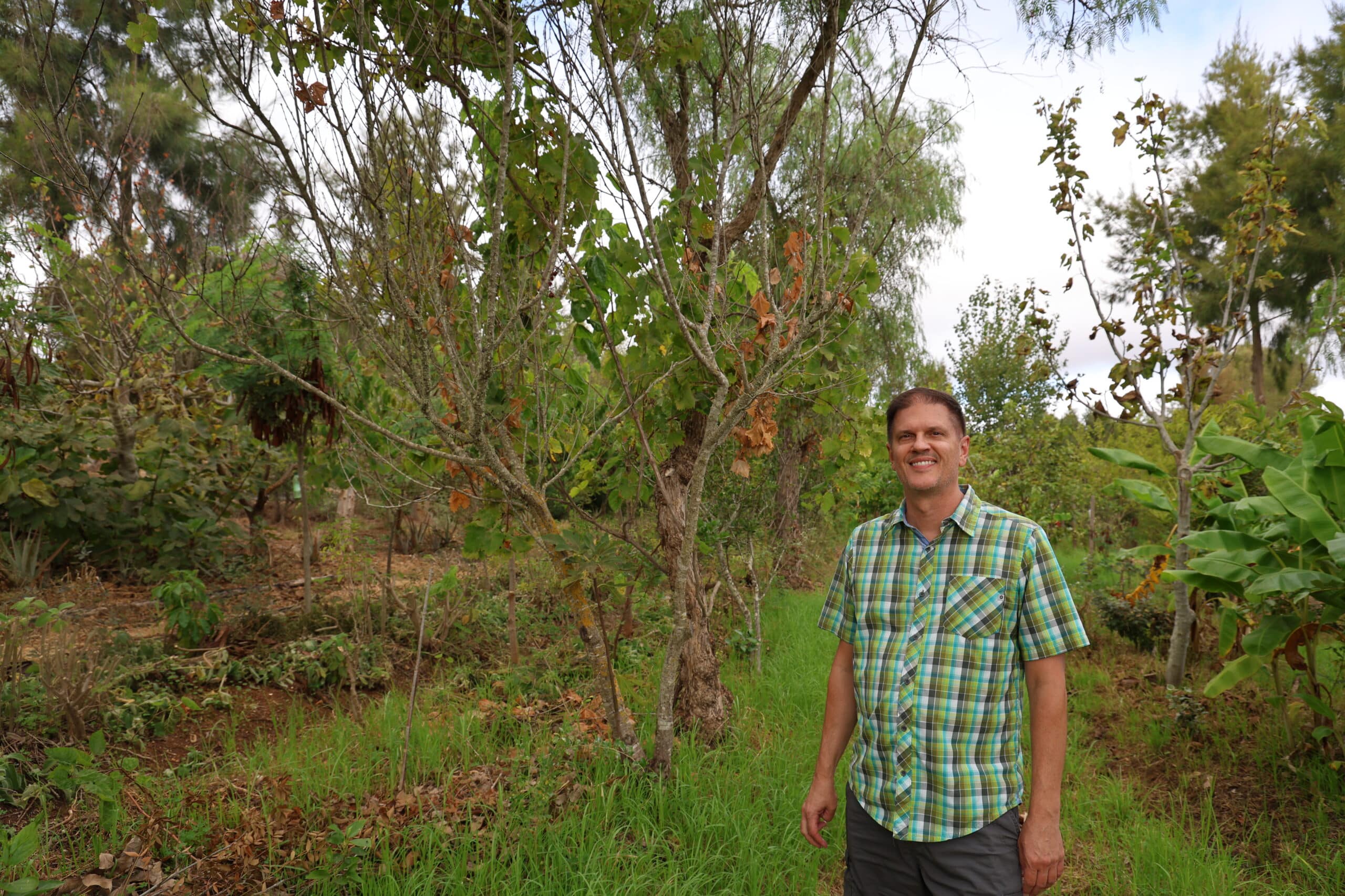 Regenerating the Algarve landscape