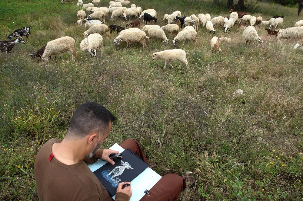 Artists challenged to draw Tavira's most stunning landscapes