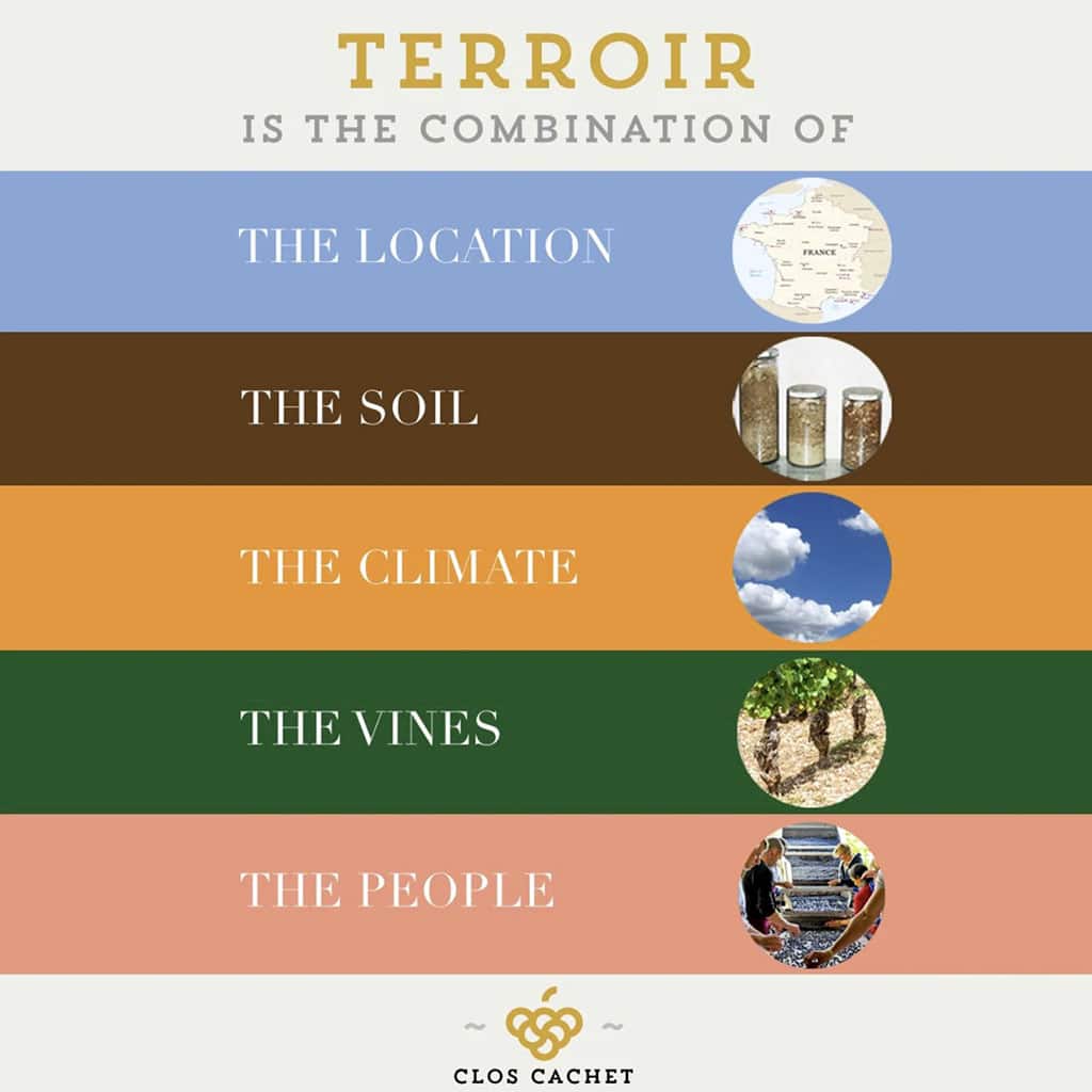 Terroir definition
