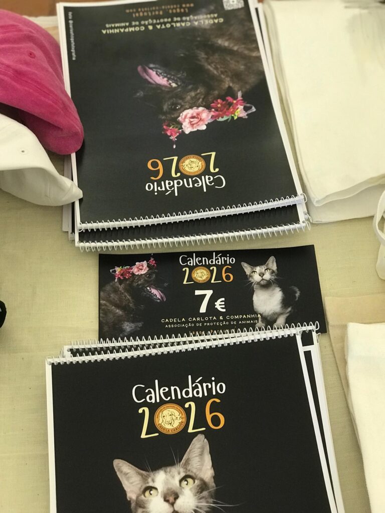 The 2026 calendar is now avaliable