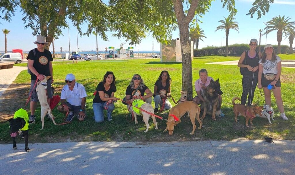 Tibi celebrated World Animal Day with lots of joy and love for the Algarve