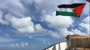 Portuguese MP, actress and activist among scores detained as Israel stymies humanitarian flotilla