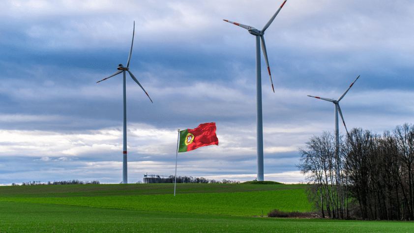 Algarve environmental group exposes quiet reality behind Portugal’s ‘green transition’