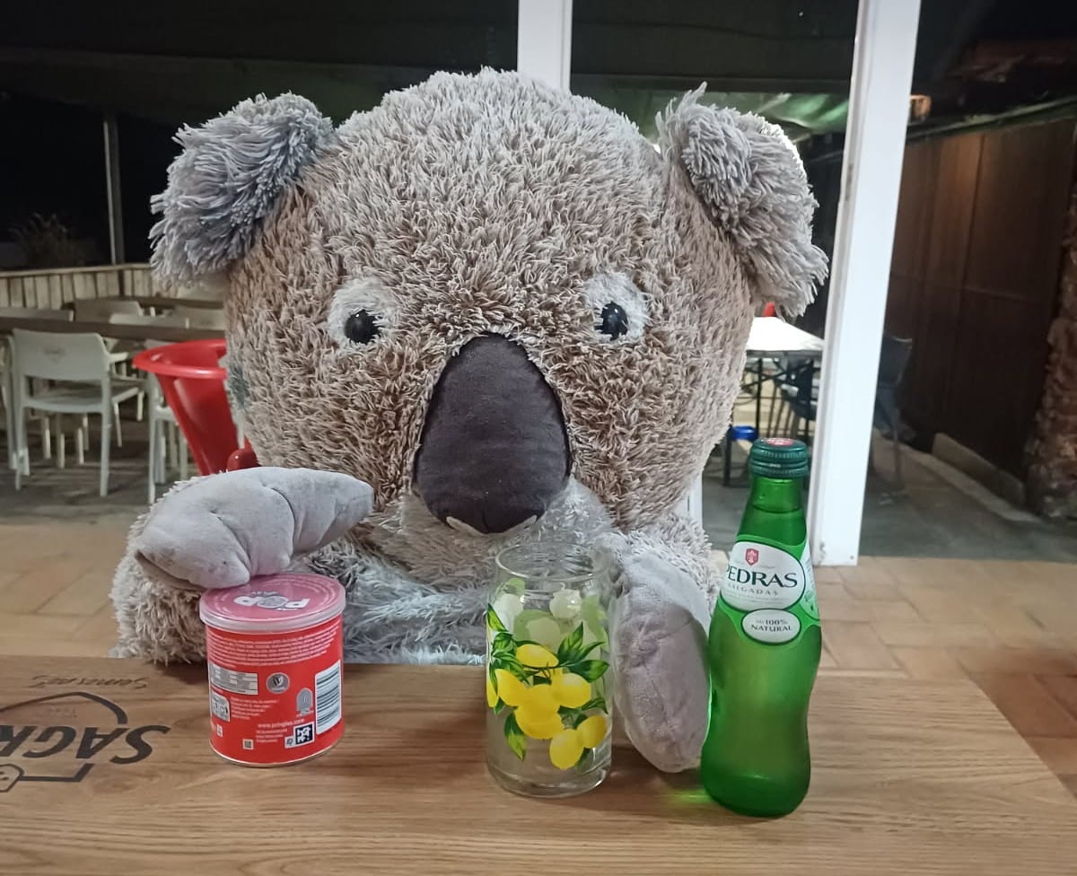 Algarve Care Services bear