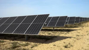 Unequivocal opposition to Castelo Branco solar park