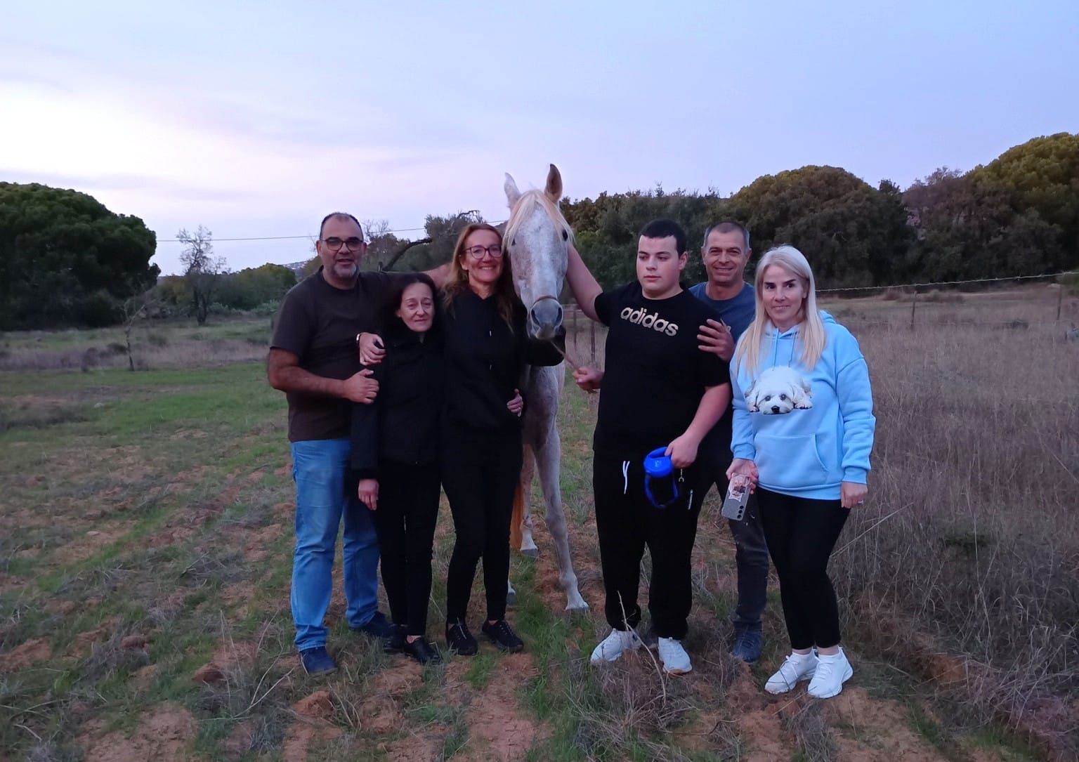 Stolen Loulé shelter horses found after two weeks. Two horses – a mare and her foal – which had been stolen from Canil de São Francisco de Assis in Loulé have been found after searches that lasted over two weeks. The foal was found on Friday, November 7 on land near a local encampment in Loulé, while the mare was located on Sunday, November 9 near the Aquashow water park in Quarteira, volunteer Luís Raso told the Resident. The foal is receiving “all the necessary care” to return to its “healthy and energetic self”, while the mare, which was “very dehydrated and weak” when found, was due to be seen by a veterinarian on Tuesday as the Resident went to print. “We want to thank everyone who, day after day, was involved in this tireless search, from the Algarve to the Alentejo. Without your help, shares, comments and messages, none of this would have been possible,” the animal shelter wrote on its Facebook page. Founded in 1983, Canil de São Francisco de Assis has provided a refuge for animals in need in the Algarve for over four decades, taking in and caring for thousands of animals.
