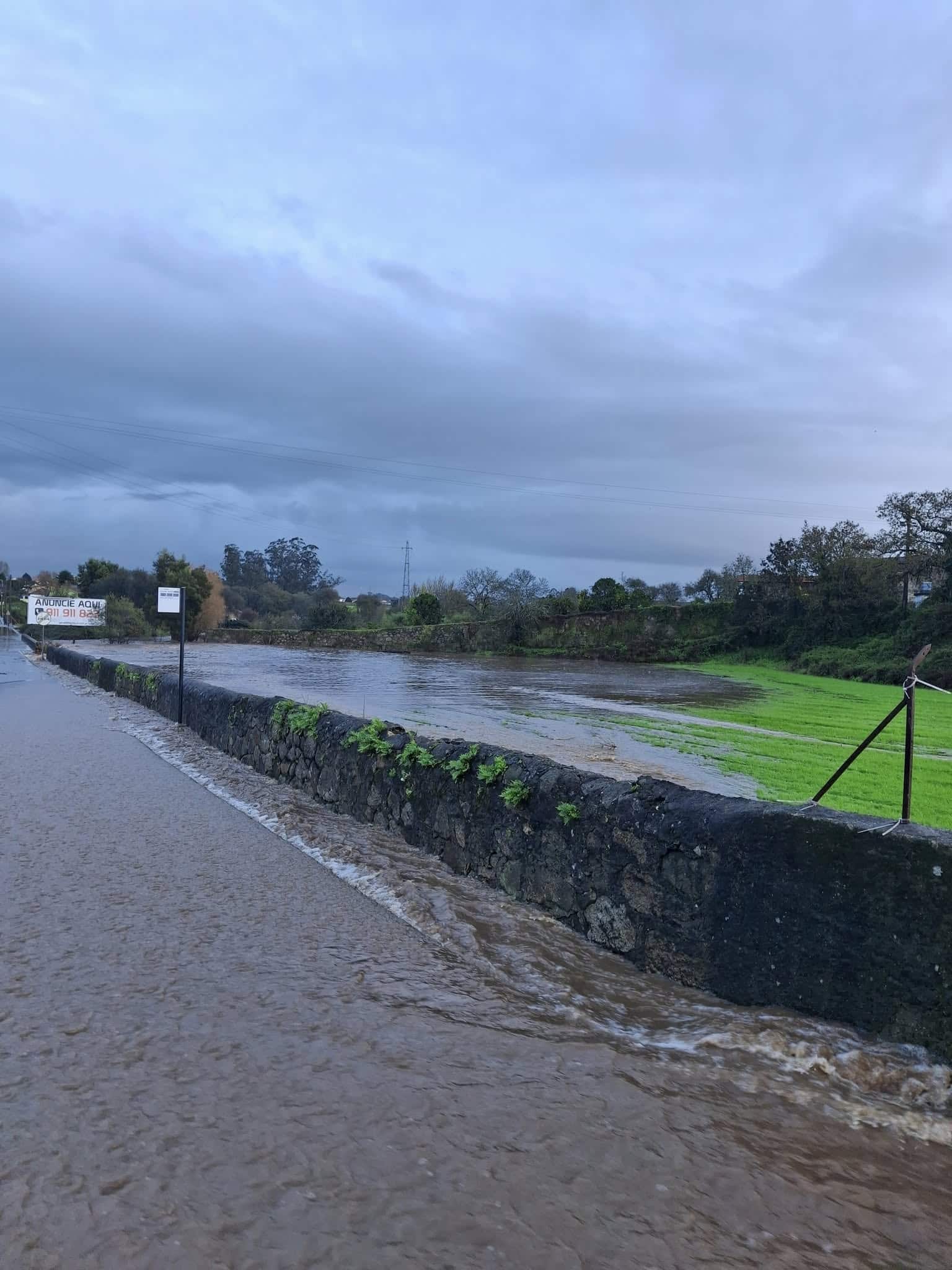 583201107_1247765304061196_1843808930547064706_n