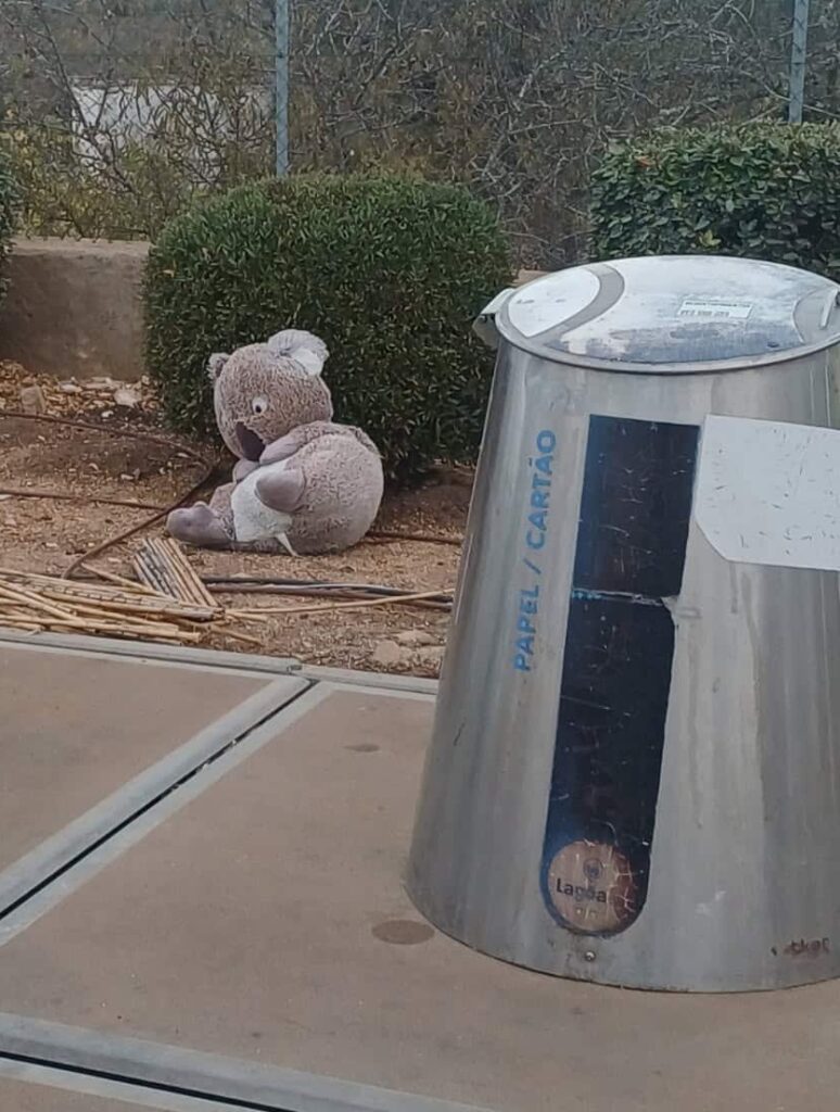 Algarve Care Services bear