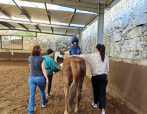 Charity dinner in Cascais to support horse-assisted therapy