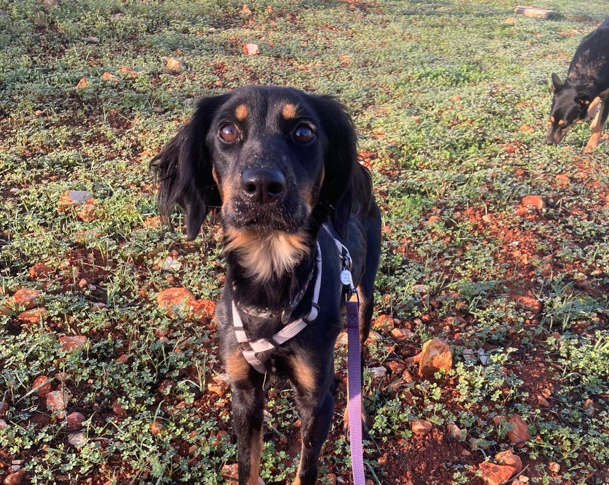 Amora spent more than a week hospitalised fighting for her life_