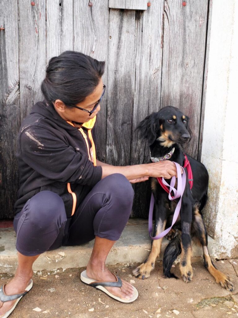 Amora - Cadela Carlota