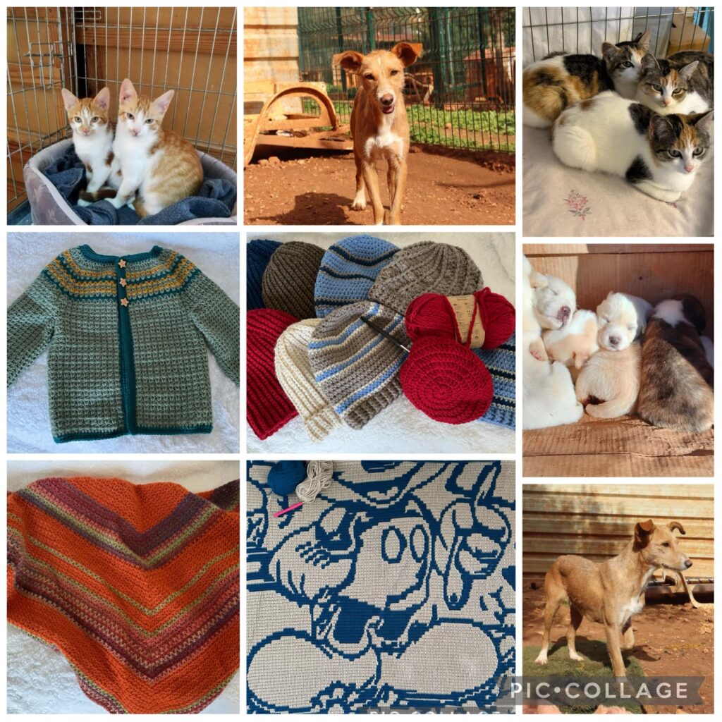 Karin's work and the animals that benefit