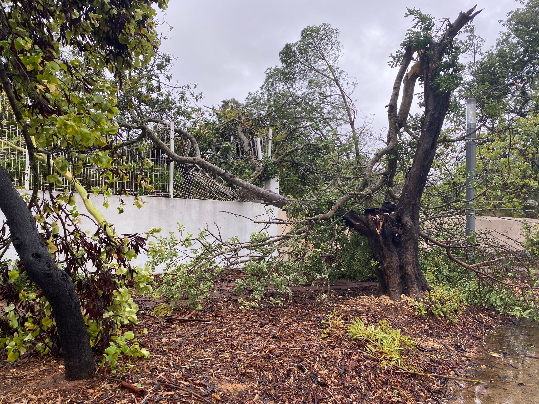 Lagoa - Photo Vânia Rawcliffe