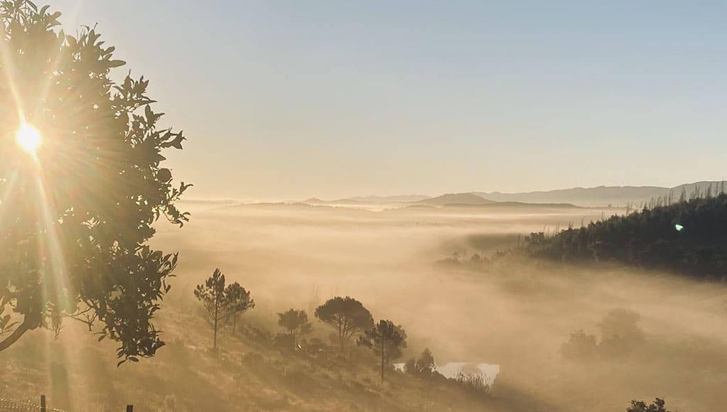 Seeing clearly now: back to the beautiful winter sun