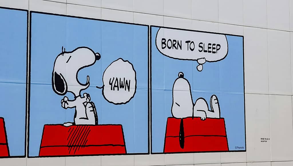 This year, there will be a trail of uniquely designed statues of the cartoon character Snoopy