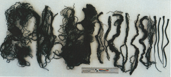 Police call for help to identify parents of baby found dead over one year ago in recycling plant