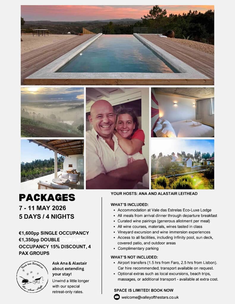 Wine immersion: dive deep into the wine world at our first wine retreat