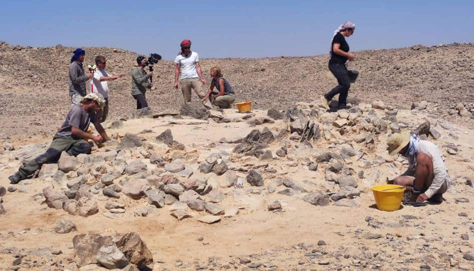 Algarve university researcher leads team in Oman desert discovery