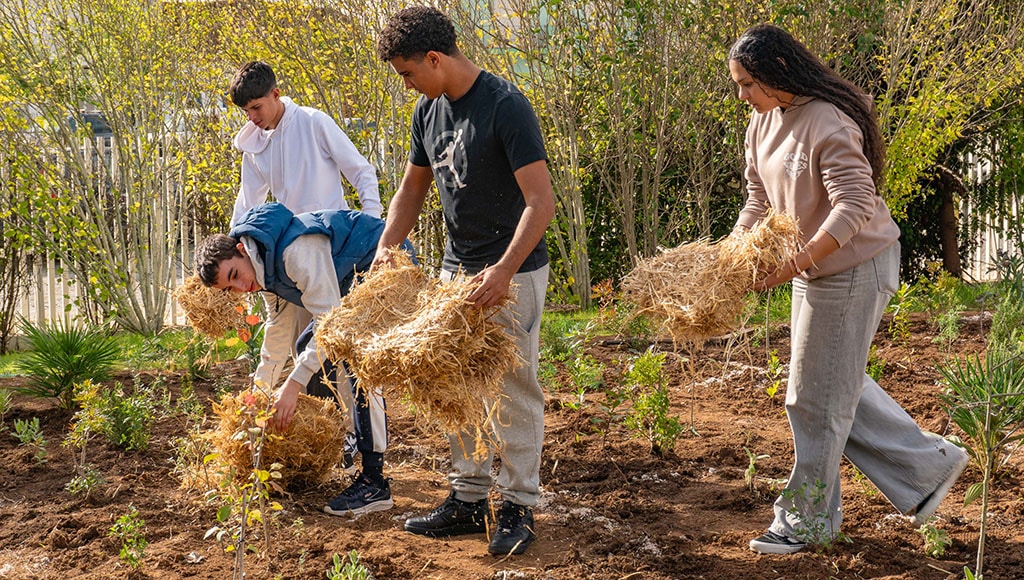 Spreading mulch to conserve water and discourage weeds