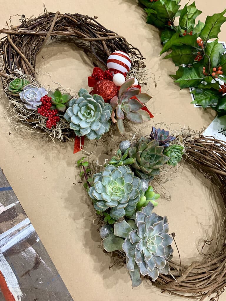 Succulent Christmas wreath