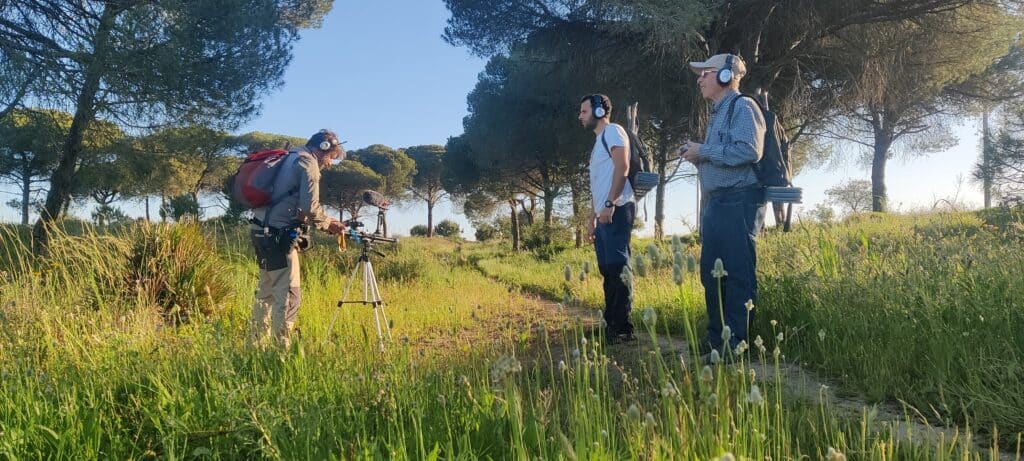 TataRegala_PasseioSonoro