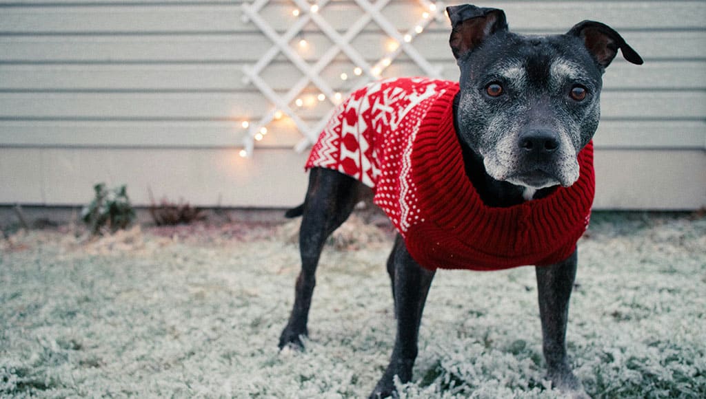 rebecca-johansson-02Xi-AZ3tEs-unsplash