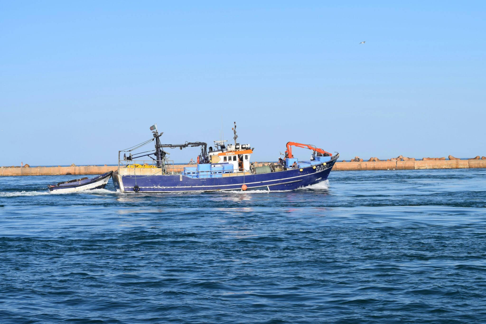 No fuel, no fishing in Tavira