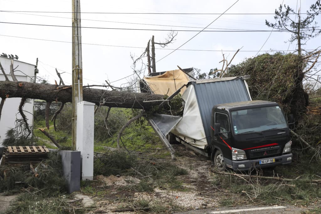 Farmers urged to declare storm damage