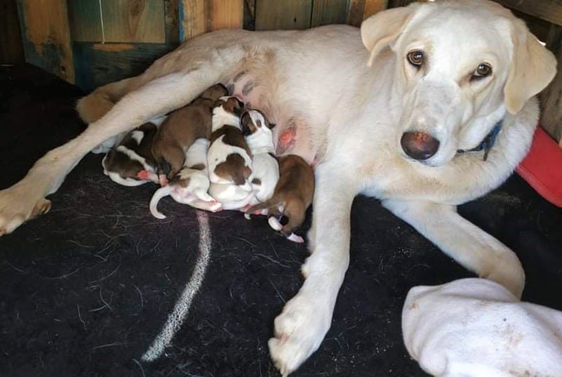 Abandoned Luncheonette