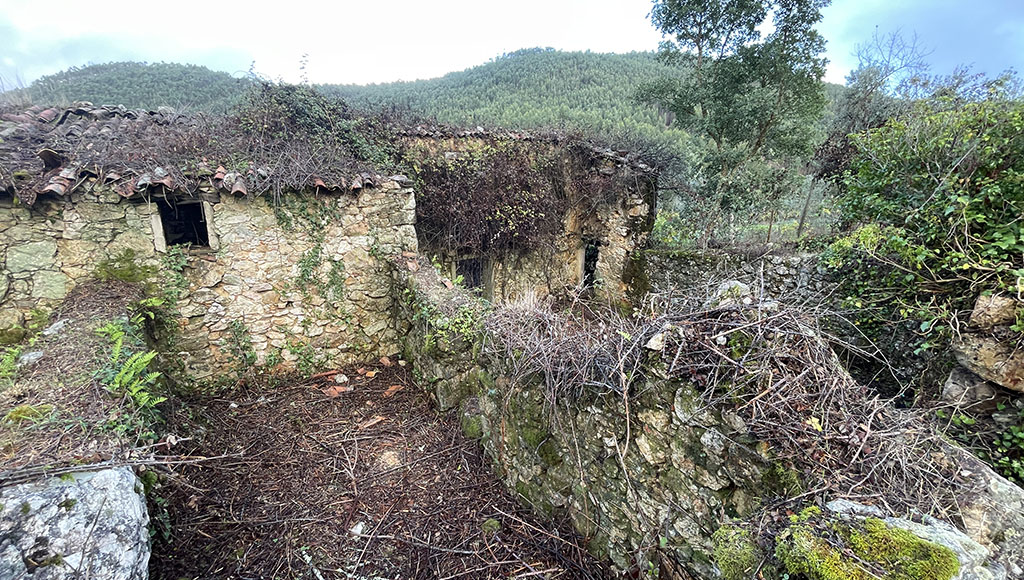 Abandoned village for sale, Sigoeira de Cima, Alvaiázere
