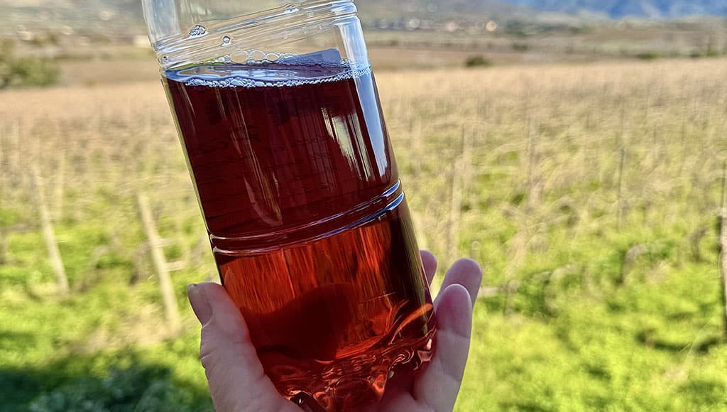 Candace Olsen - January (3)