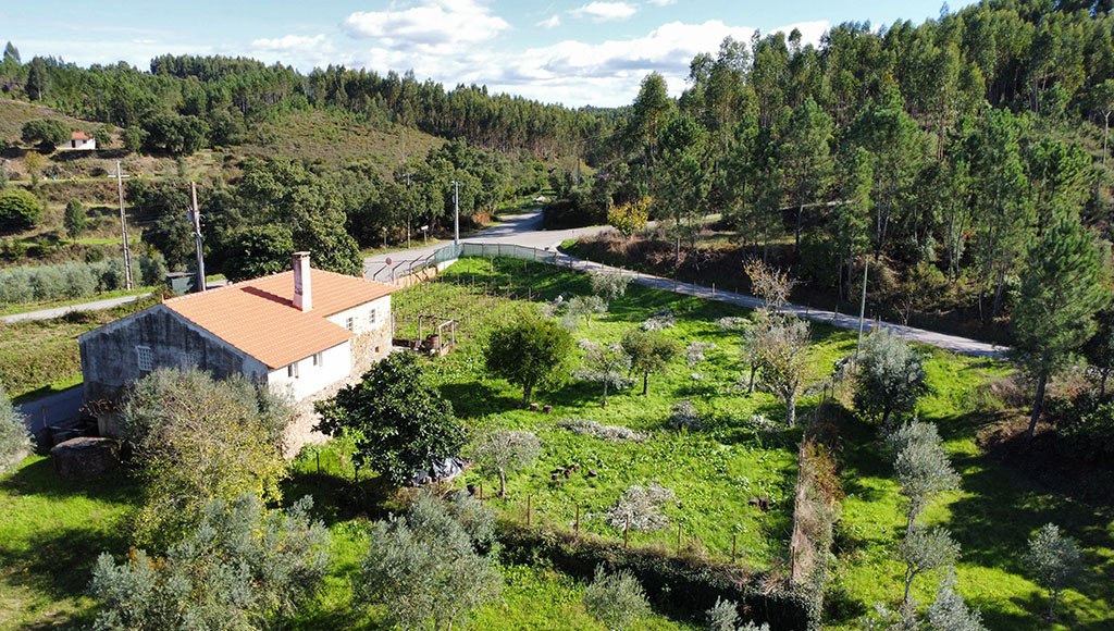 Farmhouse renovation, Castelo, Sertã