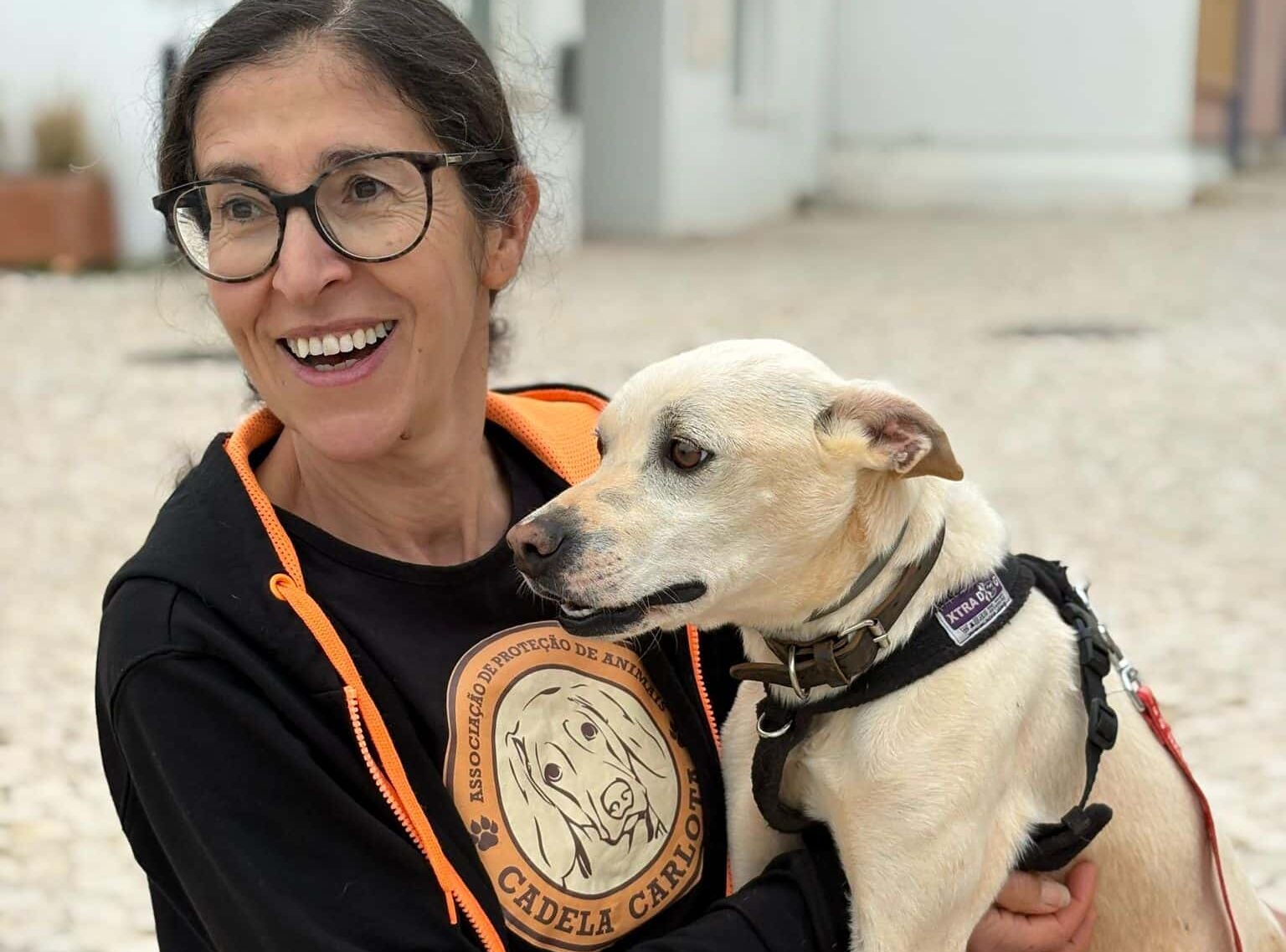 Micky - I need a calm and patient family who can offer me a peaceful and safe home_