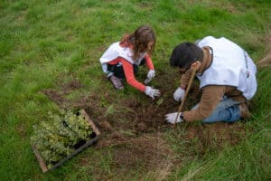 Renature Monchique eyes 600,000 trees milestone