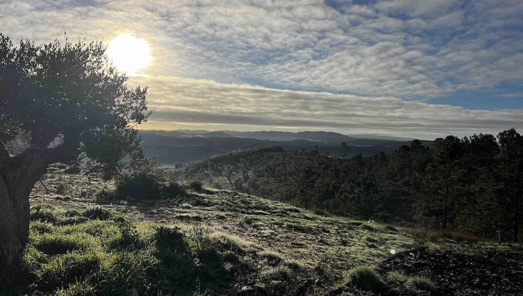 Winter sun: it’s not all bad news